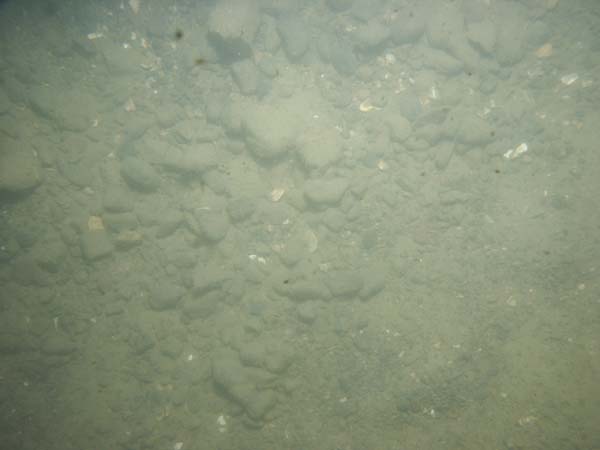 Image of sea bottom photo.