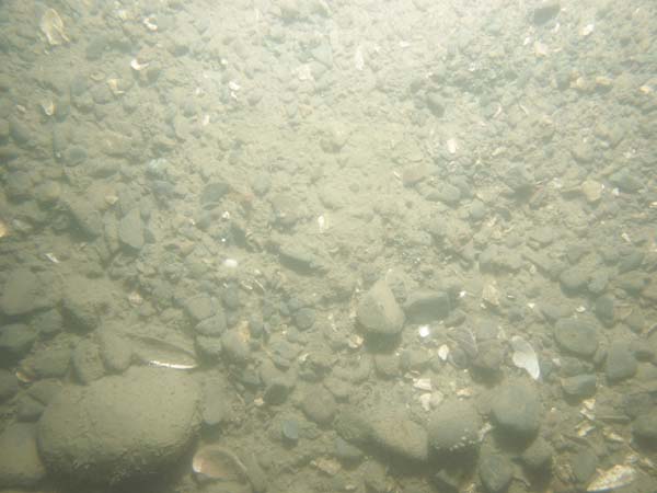 Image of sea bottom photo.