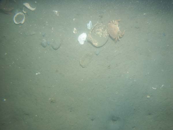 Image of sea bottom photo.