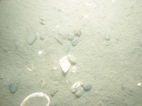 Image of sea bottom photo.