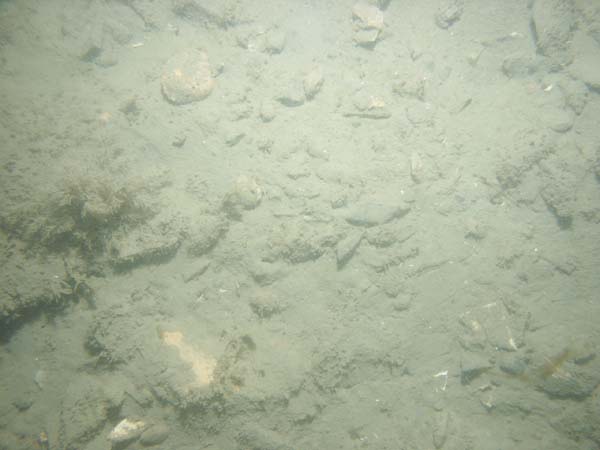 Image of sea bottom photo.