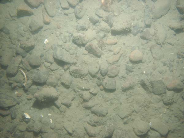 Image of sea bottom photo.