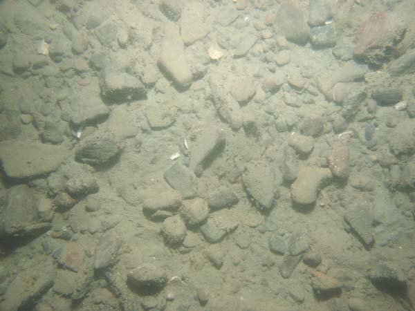 Image of sea bottom photo.