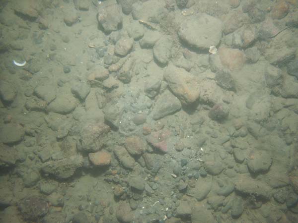 Image of sea bottom photo.