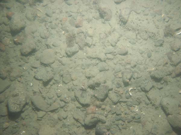 Image of sea bottom photo.