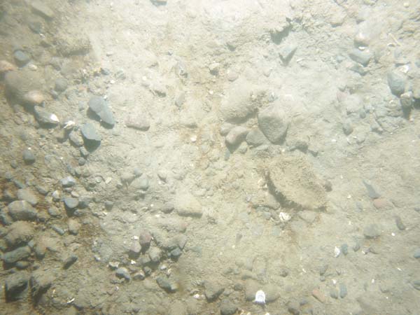 Image of sea bottom photo.