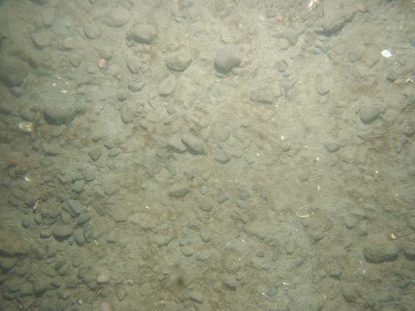 Image of sea bottom photo.