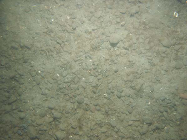 Image of sea bottom photo.