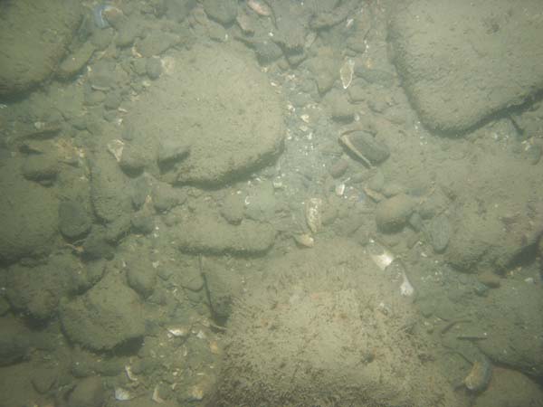 Image of sea bottom photo.