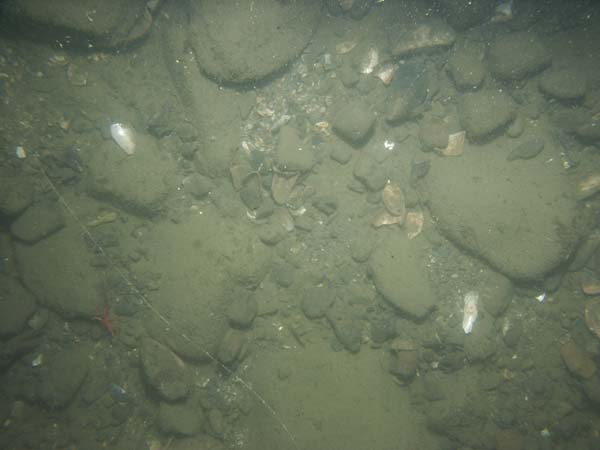 Image of sea bottom photo.