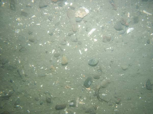 Image of sea bottom photo.