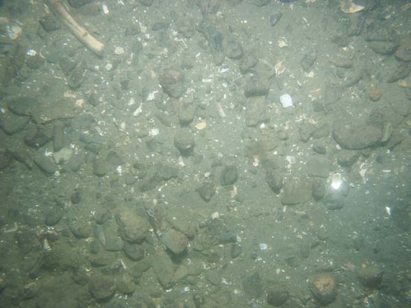 Image of sea bottom photo.