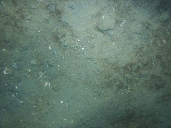 Image of sea bottom photo.