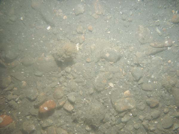 Image of sea bottom photo.