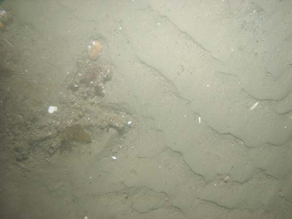 Image of sea bottom photo.