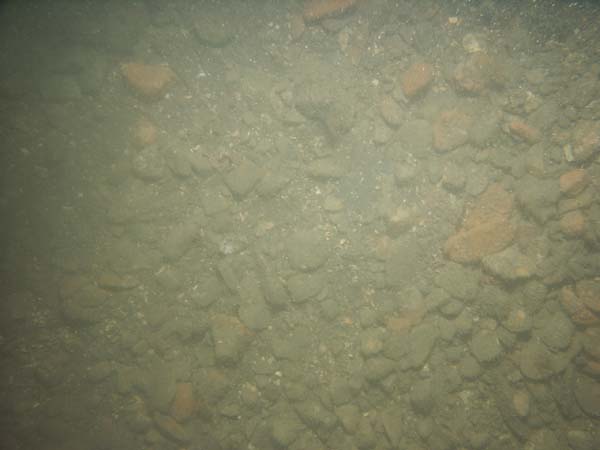 Image of sea bottom photo.