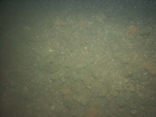 Image of sea bottom photo.