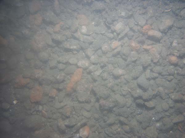 Image of sea bottom photo.