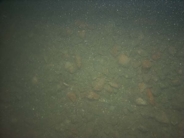 Image of sea bottom photo.