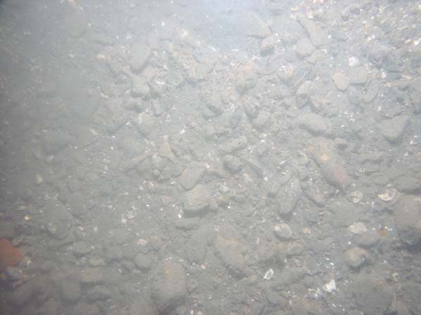 Image of sea bottom photo.