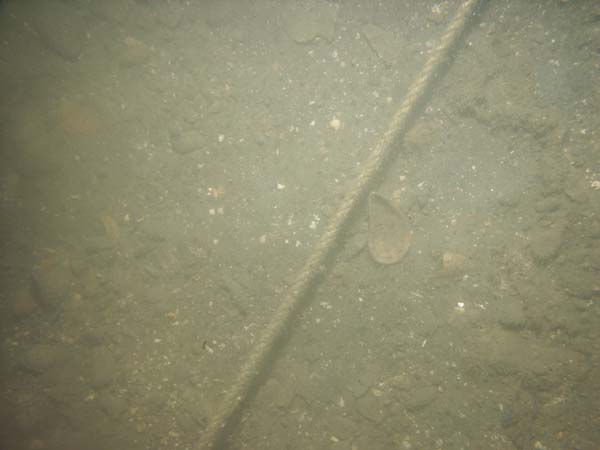 Image of sea bottom photo.