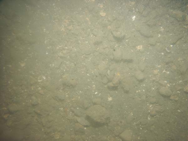 Image of sea bottom photo.