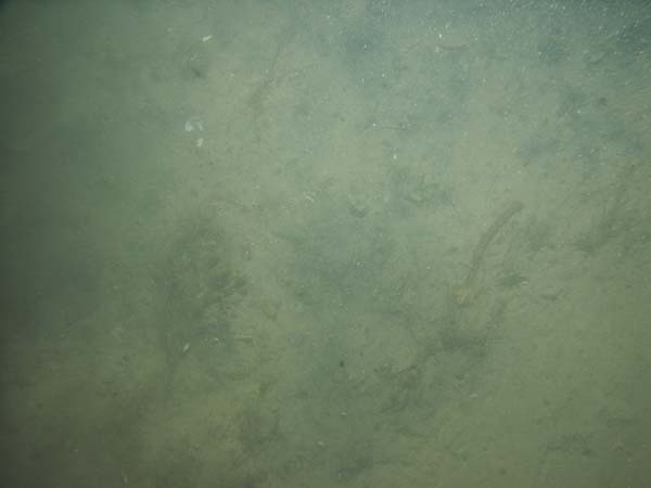 Image of sea bottom photo.