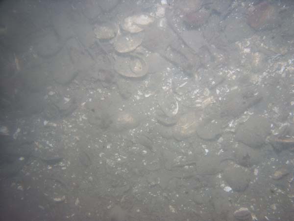 Image of sea bottom photo.