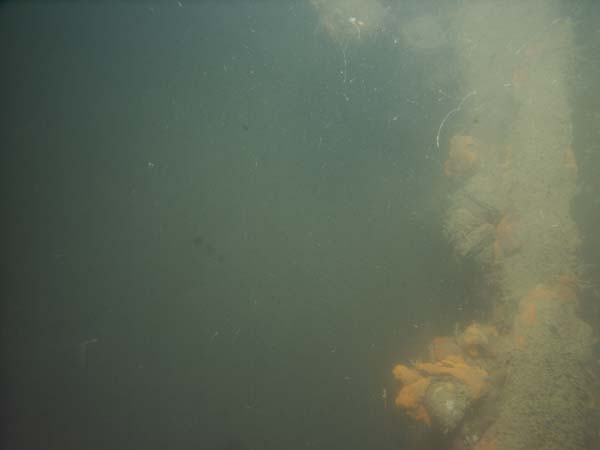 Image of sea bottom photo.