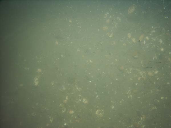 Image of sea bottom photo.