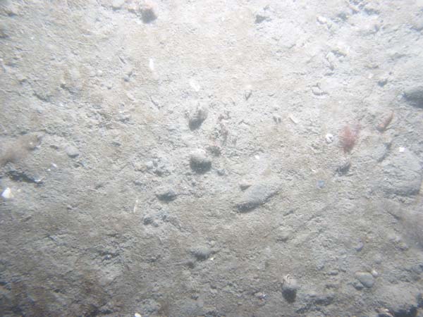 Image of sea bottom photo.