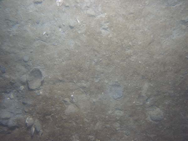 Image of sea bottom photo.