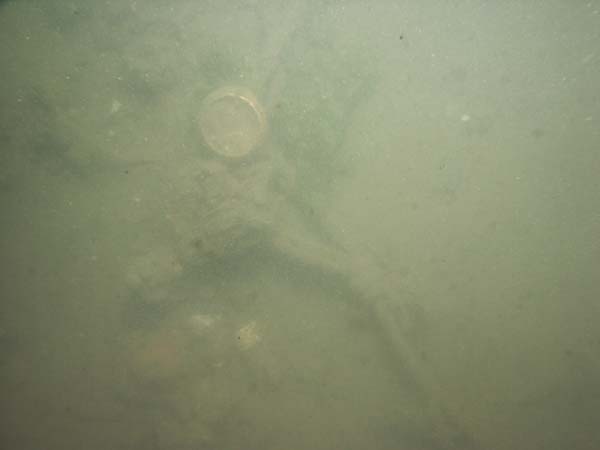 Image of sea bottom photo.