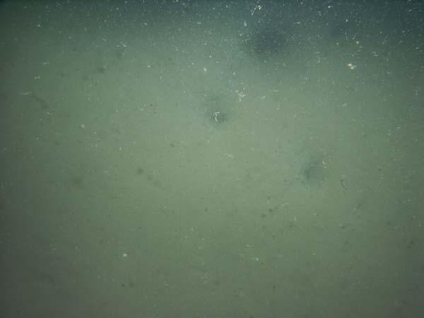 Image of sea bottom photo.