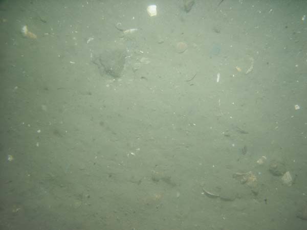 Image of sea bottom photo.