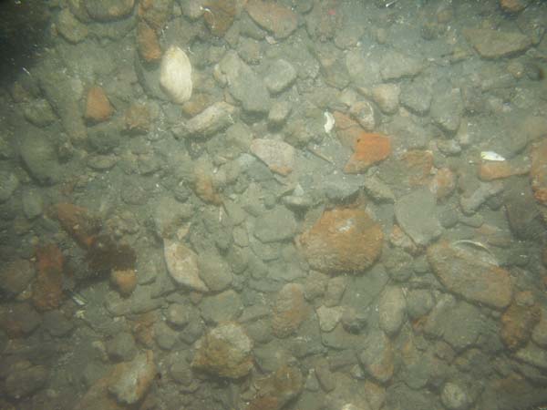 Image of sea bottom photo.