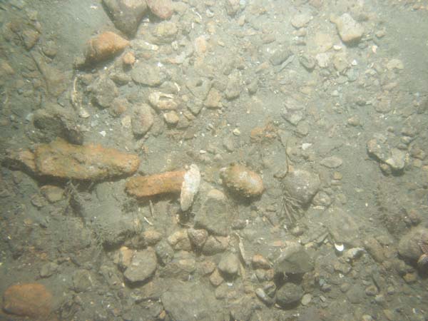 Image of sea bottom photo.