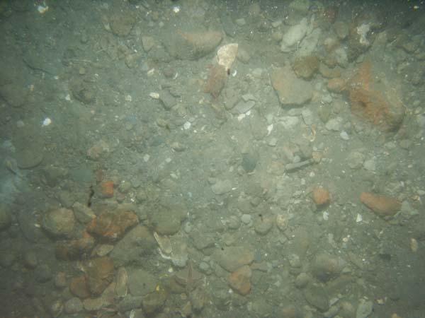 Image of sea bottom photo.