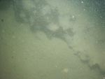 sea-floor photo