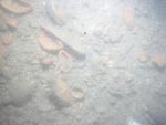 sea-floor photo