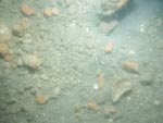 sea-floor photo