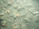 sea-floor photo