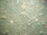 sea-floor photo