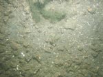 sea-floor photo