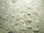 sea-floor photo