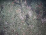 sea-floor photo