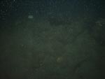 sea-floor photo