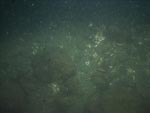 sea-floor photo