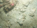 sea-floor photo