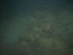 sea-floor photo